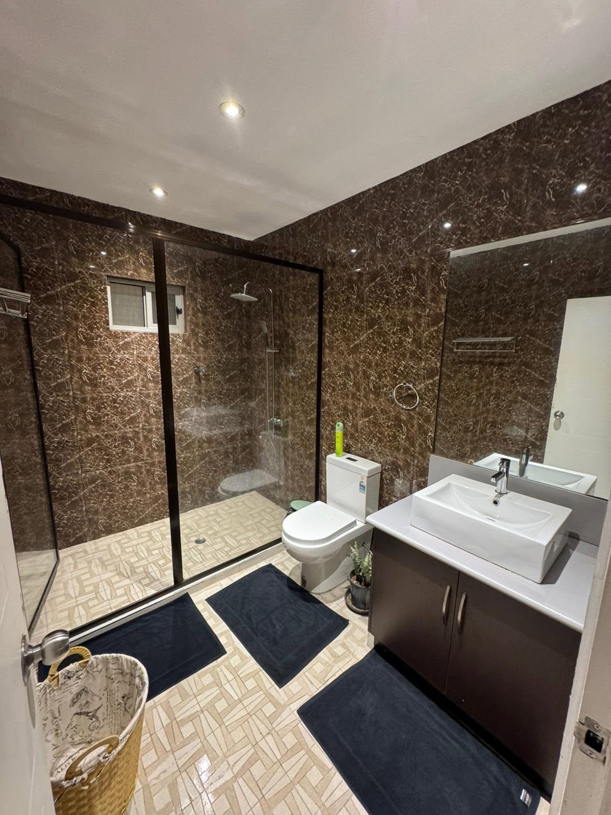 Deluxe Apartment bathroom with shower and vanity